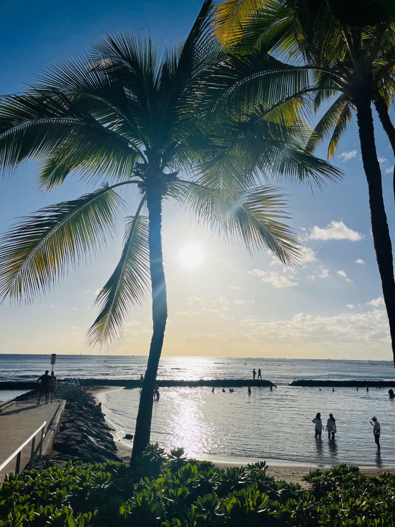 Waikiki Beach at golden hour with palm trees
